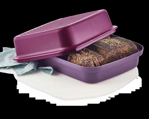 Bread box deals tupperware